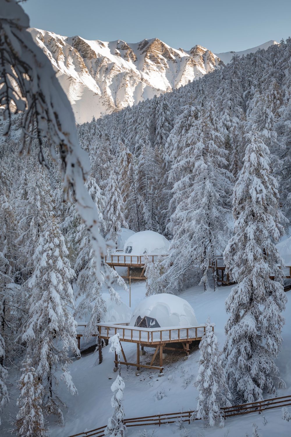 Whitepod domes in a snowy forest