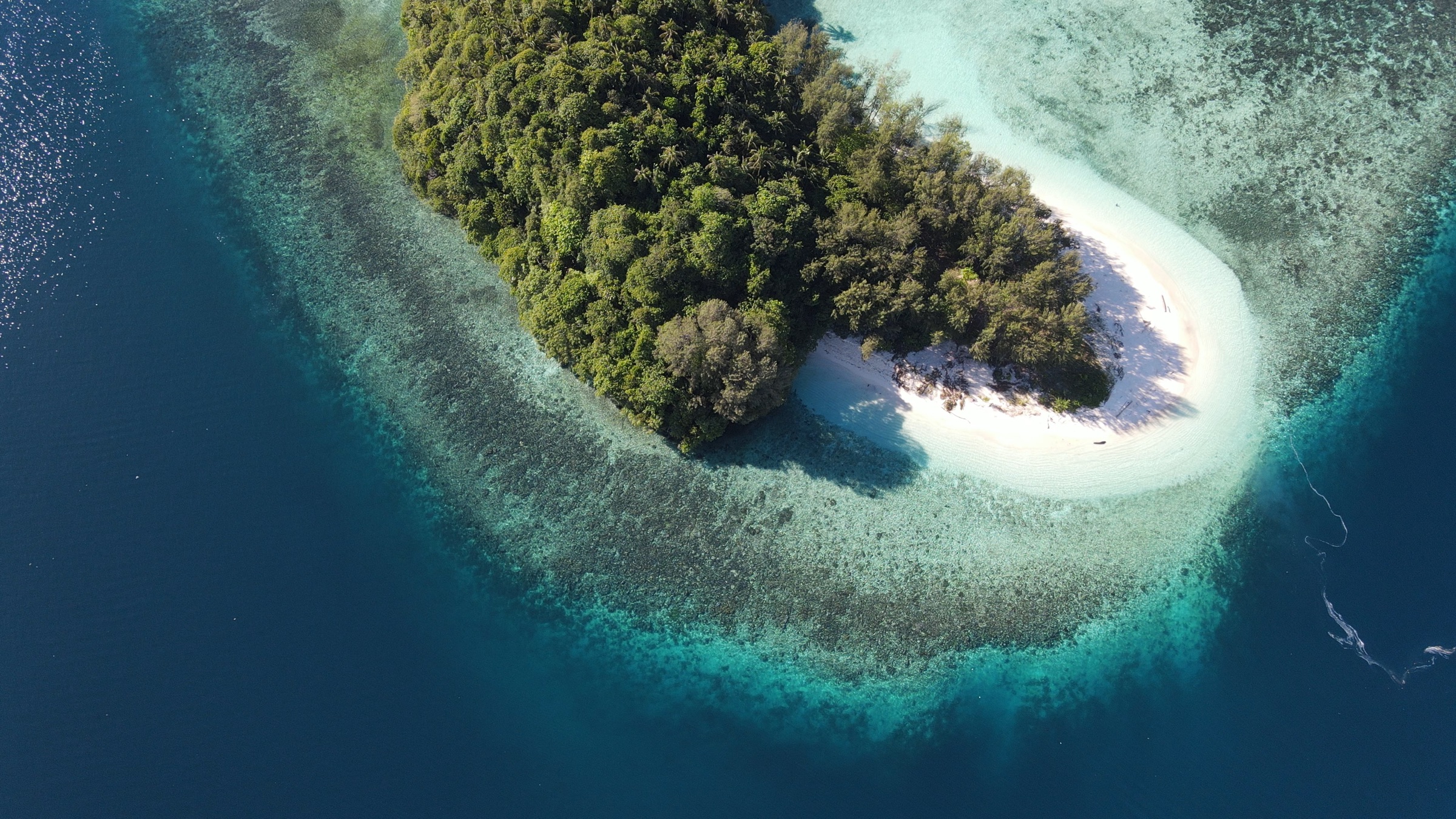 Aerial view of a tropical motu ringed by white sand and coral reef