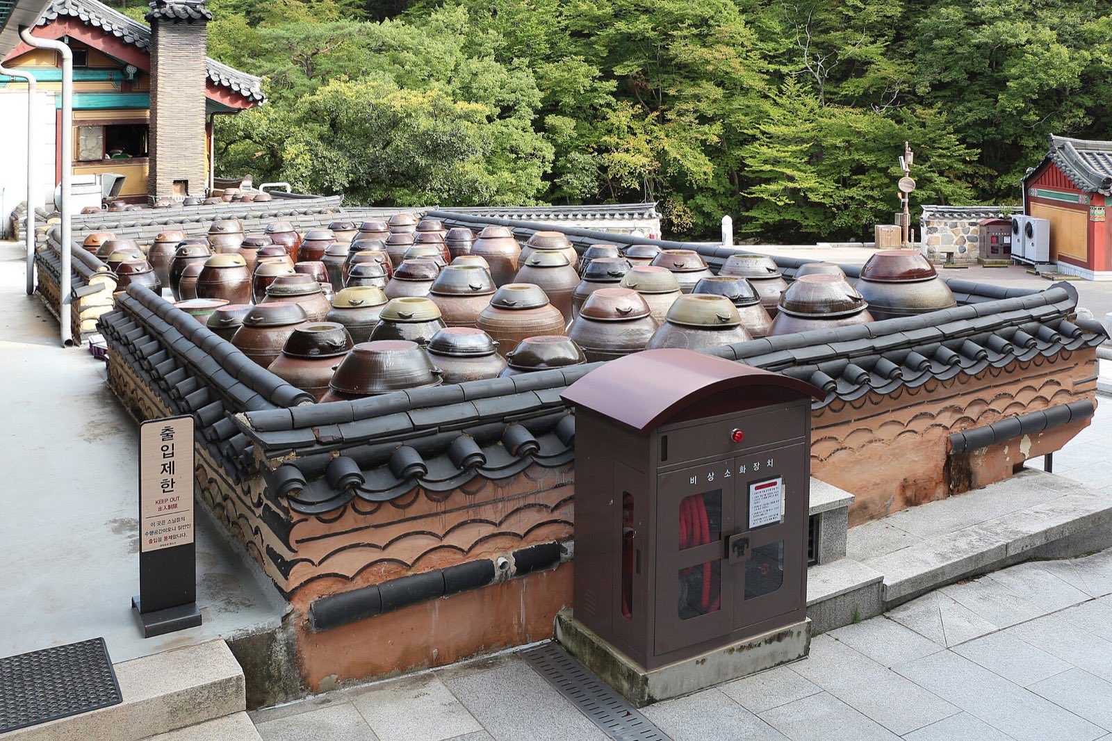 Rows of earthenware jang jars fermenting soy and chilli paste in a temple courtyard